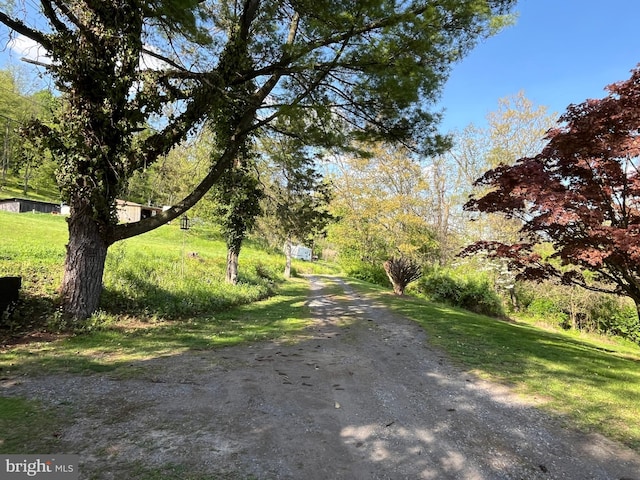 view of road