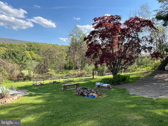 view of community with a lawn