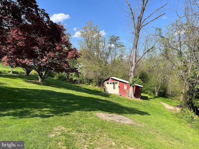 view of yard with a storage shed