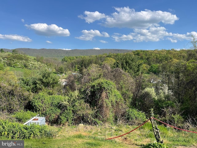 view of mountain feature