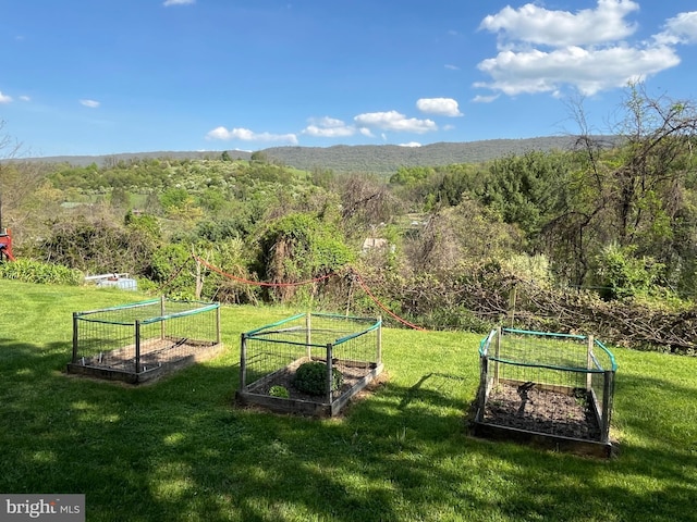 view of community with a yard and a mountain view