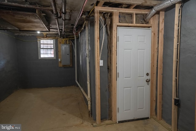 basement with electric panel