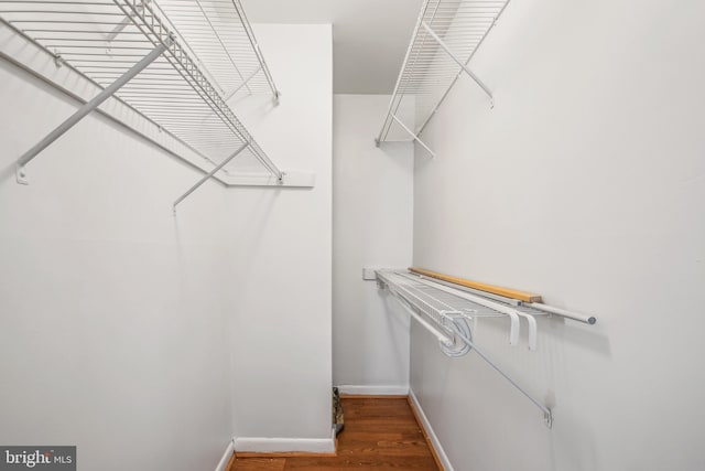 walk in closet featuring wood-type flooring