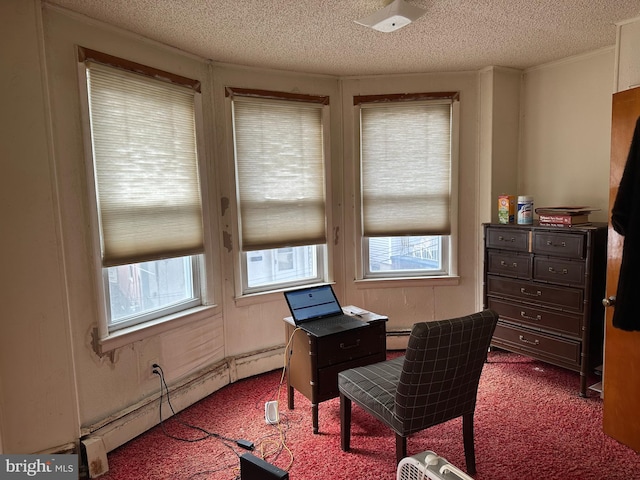 home office featuring a wealth of natural light, a textured ceiling, carpet floors, and baseboard heating