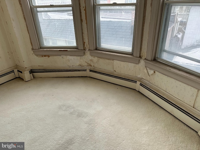 interior details featuring carpet floors