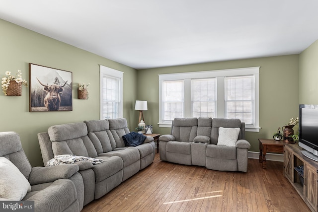 living room with hardwood / wood-style flooring