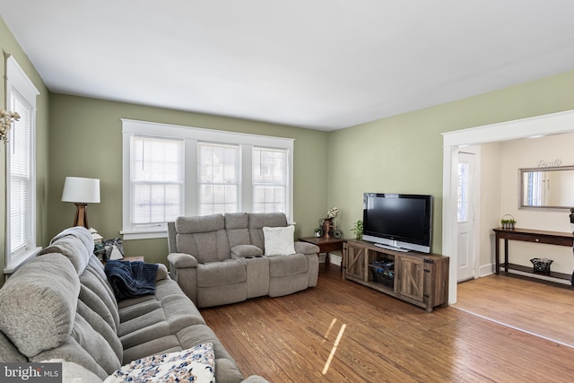 living room with wood-type flooring