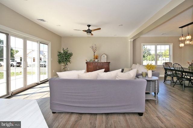 living room with ceiling fan and wood-type flooring