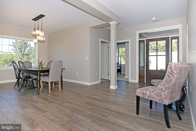 dining room with dark wood-type flooring and a wealth of natural light