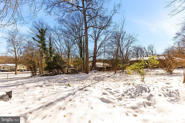 view of snowy yard