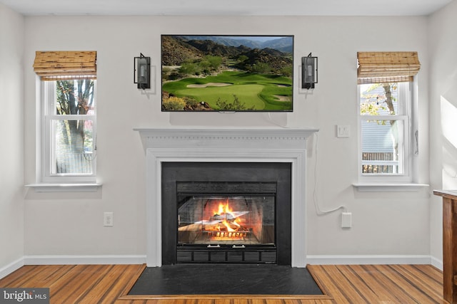 interior details with hardwood / wood-style flooring