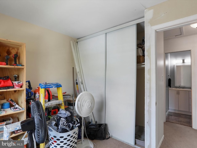 8387 Revelation Ave, Walkersville, MD 21793 - interior space featuring a sink, carpet, and a closet