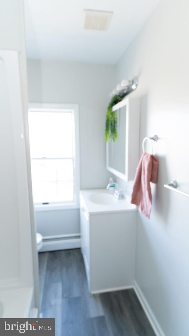 bathroom with wood-type flooring and vanity