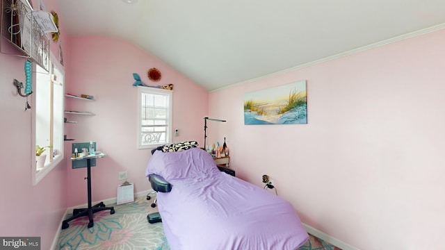 bedroom featuring vaulted ceiling