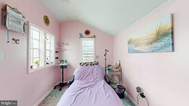 bedroom featuring vaulted ceiling