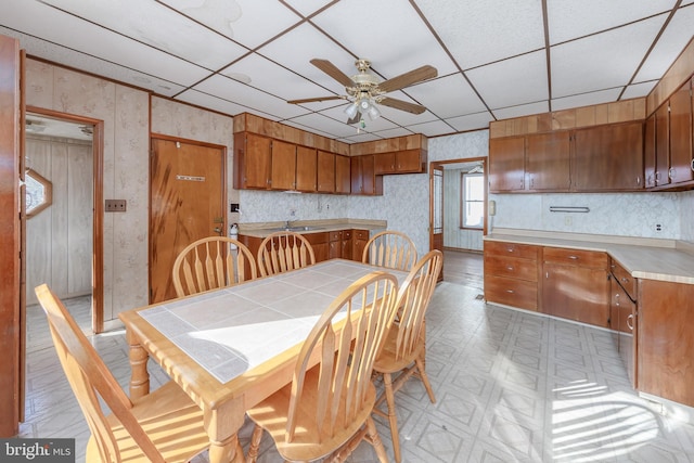 dining area with a drop ceiling, ceiling fan, and sink