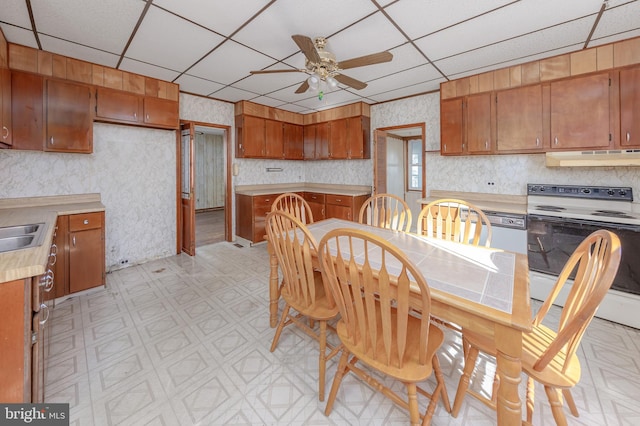 kitchen with ceiling fan, electric stove, sink, and a drop ceiling