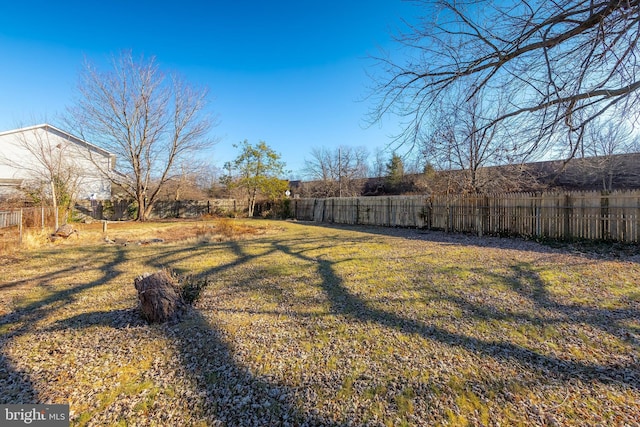 view of yard