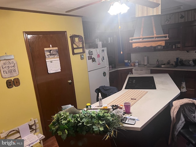 kitchen featuring sink, ventilation hood, dark brown cabinets, white refrigerator, and black electric cooktop