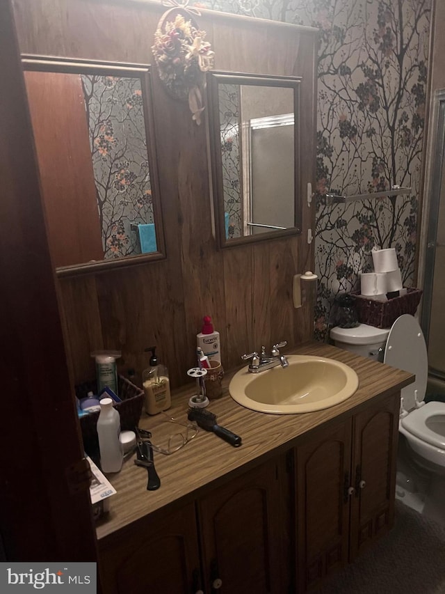 bathroom with toilet and vanity