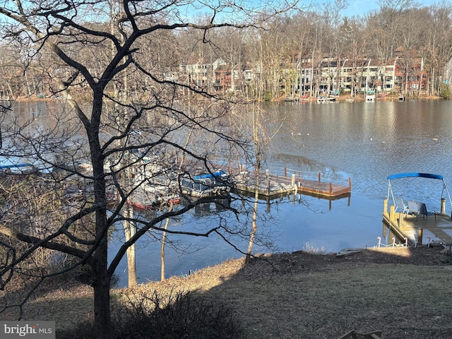 dock area featuring a water view