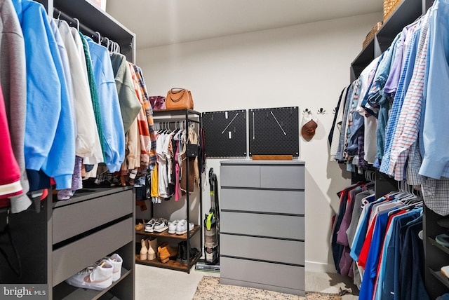 view of walk in closet