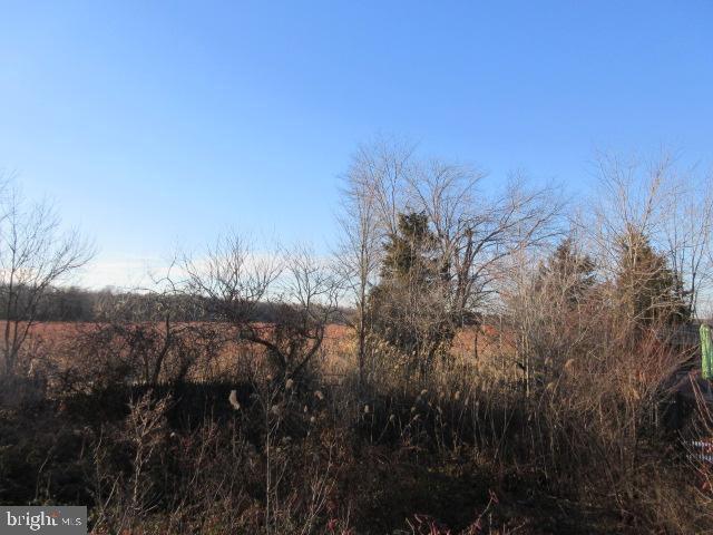 view of nature featuring a rural view