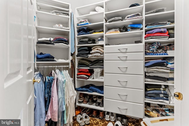 view of spacious closet