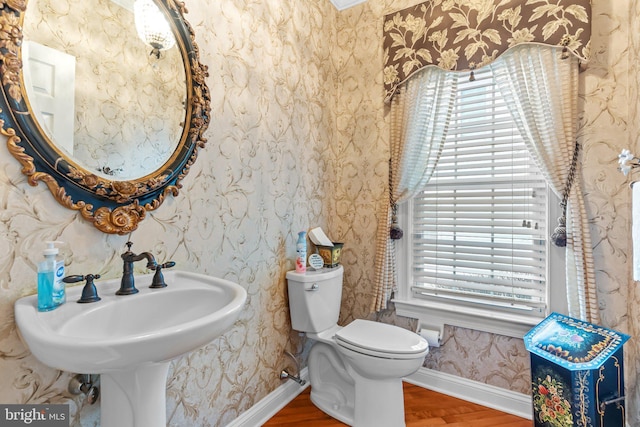 bathroom with sink, hardwood / wood-style flooring, and toilet