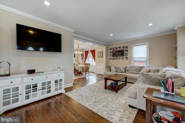 living room with an inviting chandelier, a healthy amount of sunlight, crown molding, and dark wood-type flooring