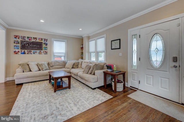 living room with crown molding and dark hardwood / wood-style floors