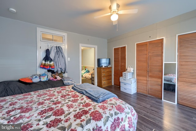 bedroom with dark hardwood / wood-style flooring, ceiling fan, and multiple closets