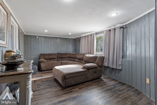 living room featuring dark wood-type flooring and wooden walls