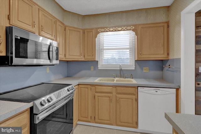 kitchen with light brown cabinetry, sink, and stainless steel appliances