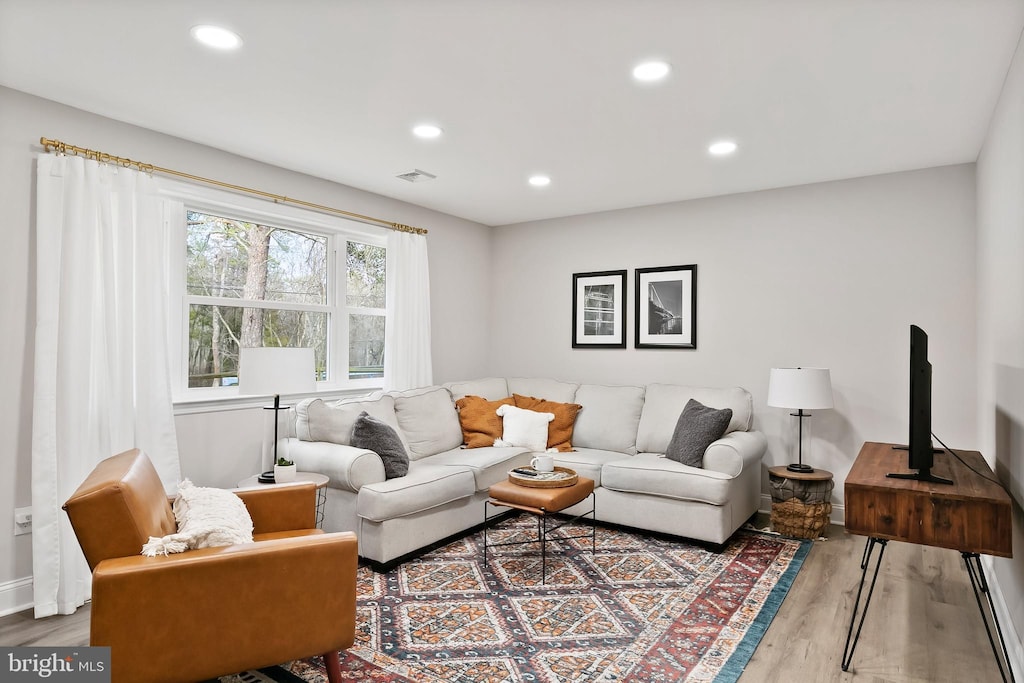 living room featuring hardwood / wood-style flooring