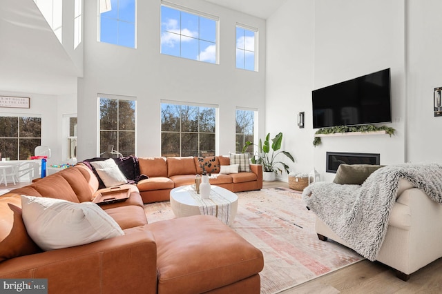 living room featuring a wealth of natural light, hardwood / wood-style floors, and a towering ceiling