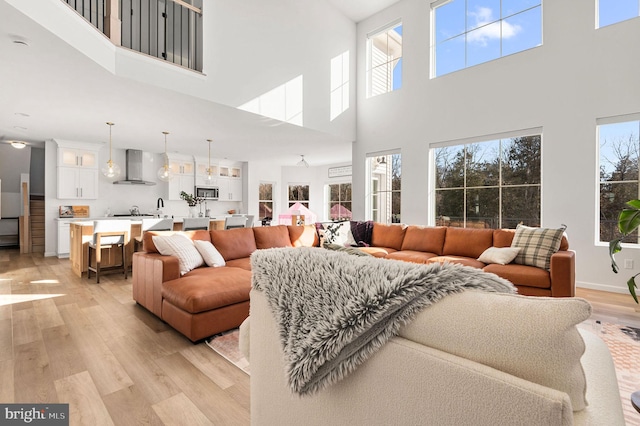 living room featuring a towering ceiling and light hardwood / wood-style flooring