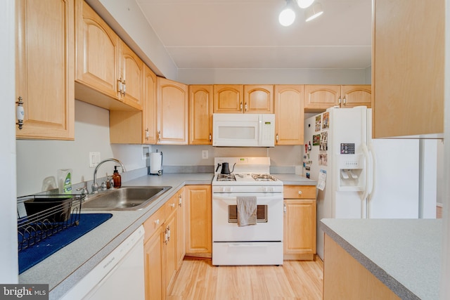 kitchen with sink, white appliances, light hardwood / wood-style floors, and light brown cabinets