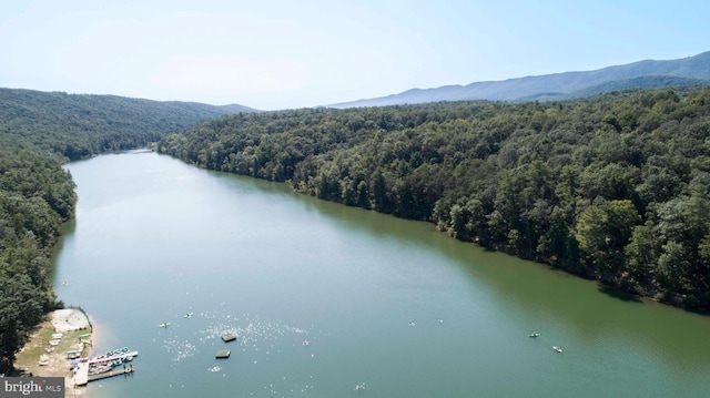 birds eye view of property featuring a water and mountain view