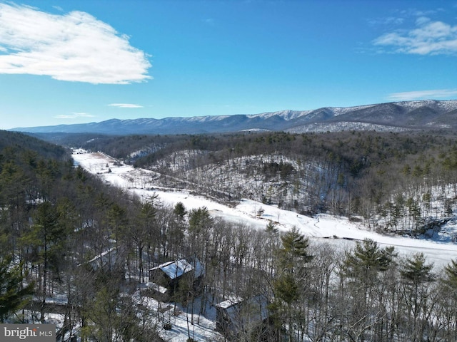 property view of mountains