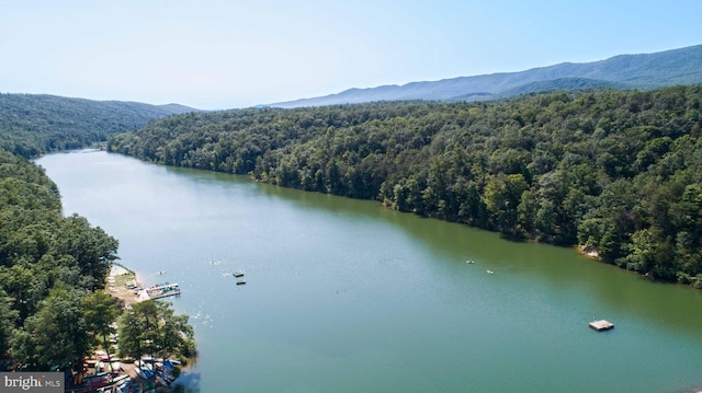 bird's eye view featuring a water and mountain view