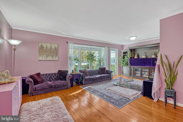 living room with ornamental molding and light hardwood / wood-style flooring