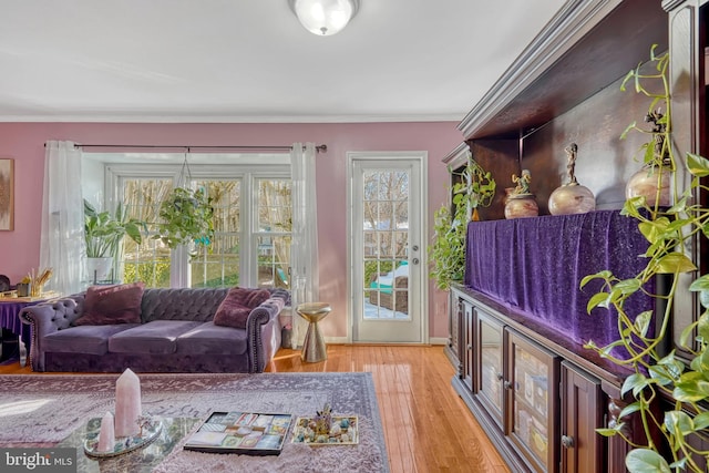 interior space featuring ornamental molding and light hardwood / wood-style flooring