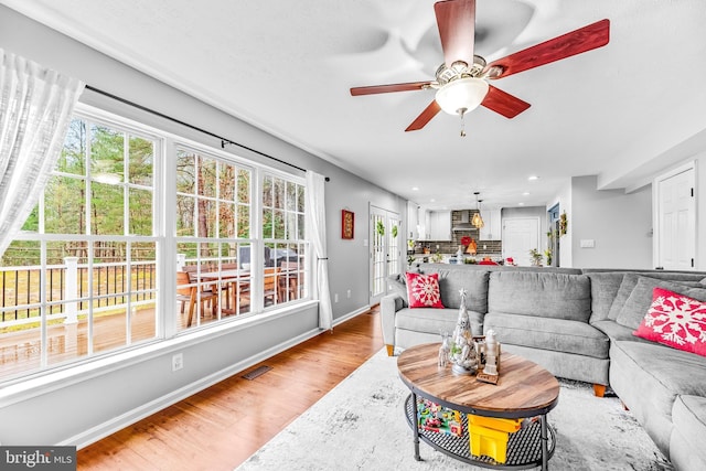 living room featuring ceiling fan and light hardwood / wood-style flooring