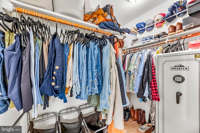 spacious closet with carpet