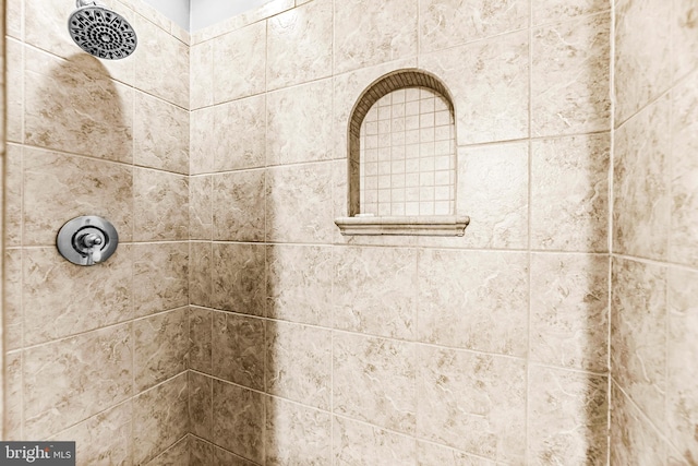 room details with a tile shower