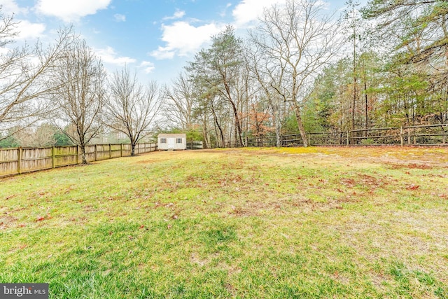 view of yard featuring a shed