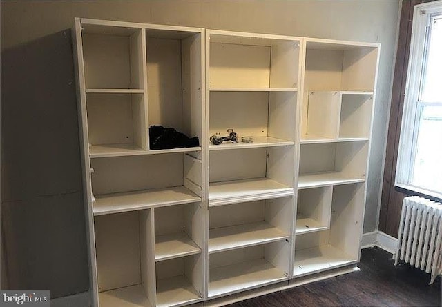 closet with radiator