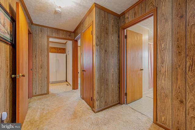 hallway with crown molding and wooden walls