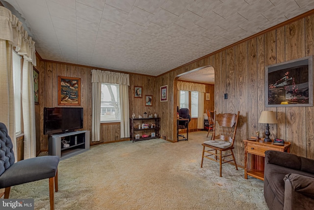 living room featuring light colored carpet